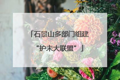 石景山多部门组建“护未大联盟”